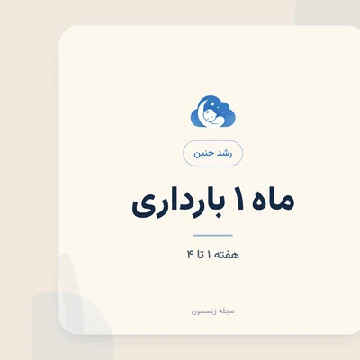 رشد جنین در هفته‌های ۱ تا ۴؛ از لقاح تا لانه‌گزینی