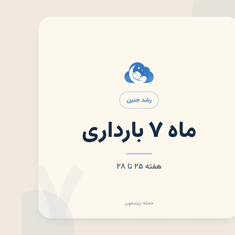 رشد جنین در هفته‌های ۲۵ تا ۲۸؛ چشم‌ها، مغز و چربی
